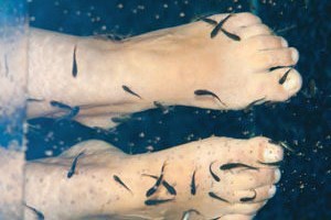 Champneys Fish Pedicure For Two