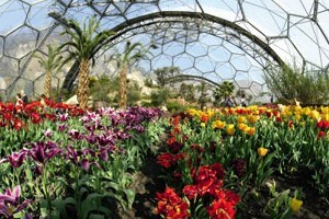 Family Entrance to The Eden Project