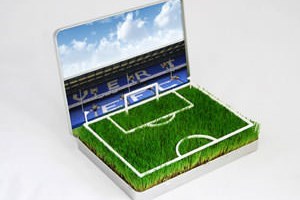 Grow Your Own Goodison Park Pitch