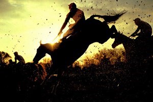 Winning Raceday Package