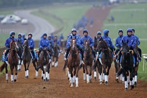 Classic Horseracing Tour Classic Horseracing Tour
