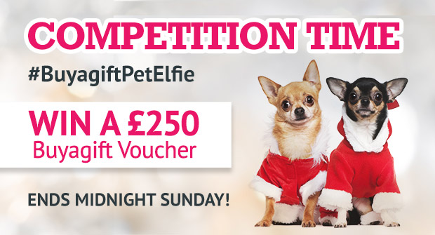 Competition time - #BuyagiftPetElfie Win a £250 Buyagift voucher - Ends Midnight Sunday!