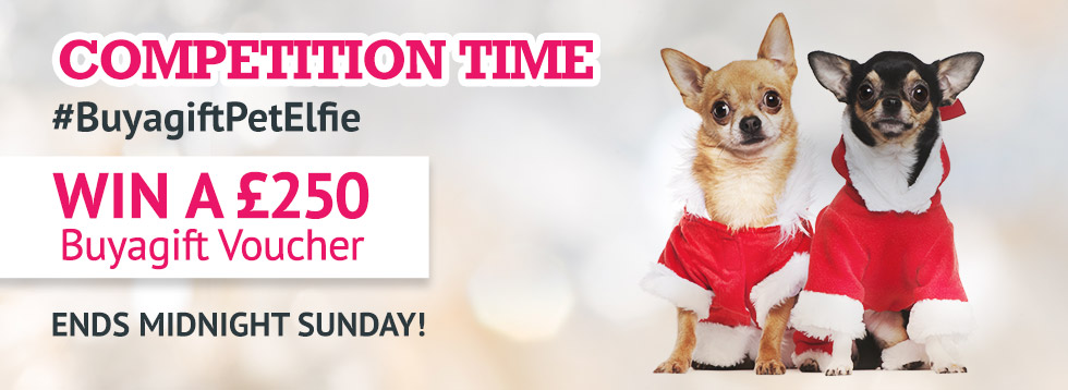Competition time - #BuyagiftPetElfie Win a £250 Buyagift voucher - Ends Midnight Sunday!