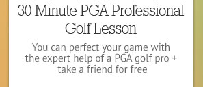 30 Minute PGA Professional Golf Lesson