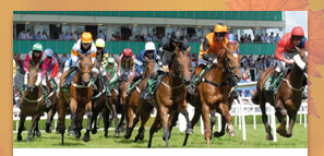 2 for 1 Winngin Raceday Package