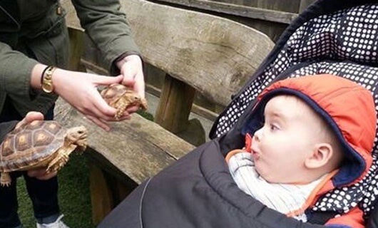 children's experience days