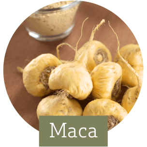 Maca