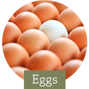 Eggs